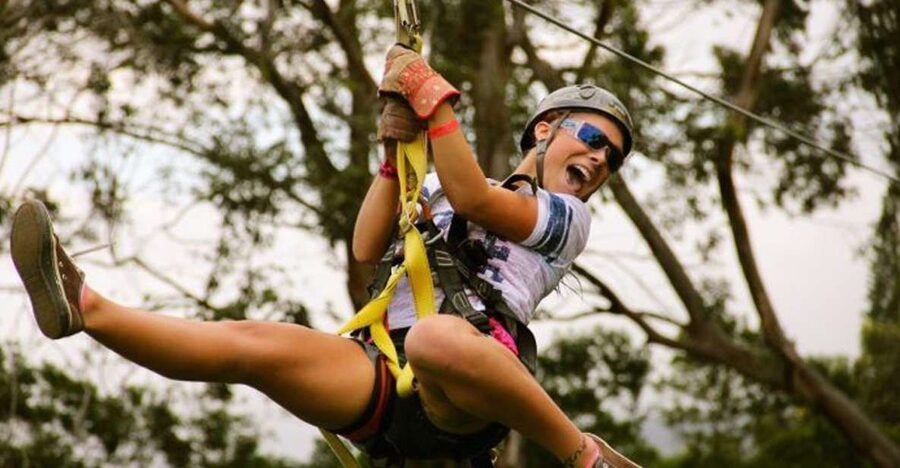 North Maui: 7 Line Zipline Adventure with Ocean Views - The 7-Stage Zipline Course Above Giant Eucalyptus Trees