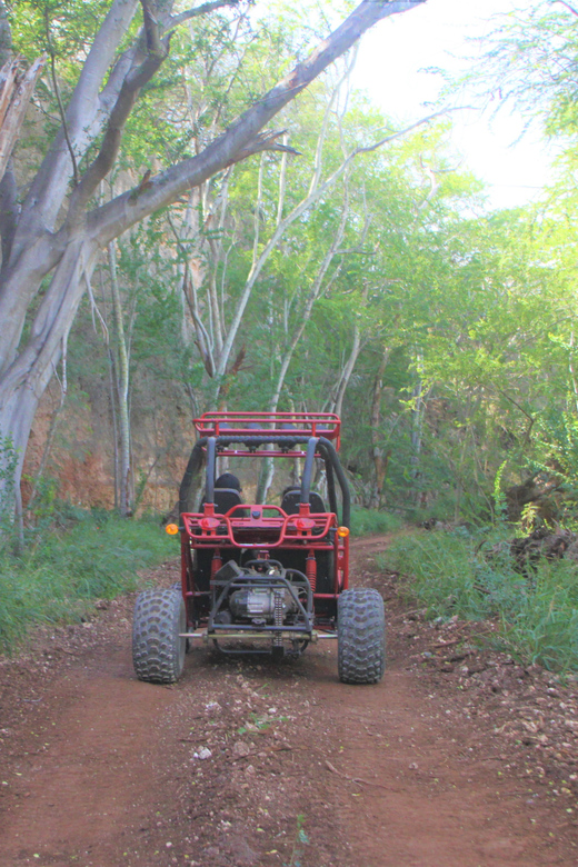 Oahu: Coral Crater Zipline and Offroad ATV Adventure - Coral Crater Adventure Park: The one-stop combo for Oahu adrenaline