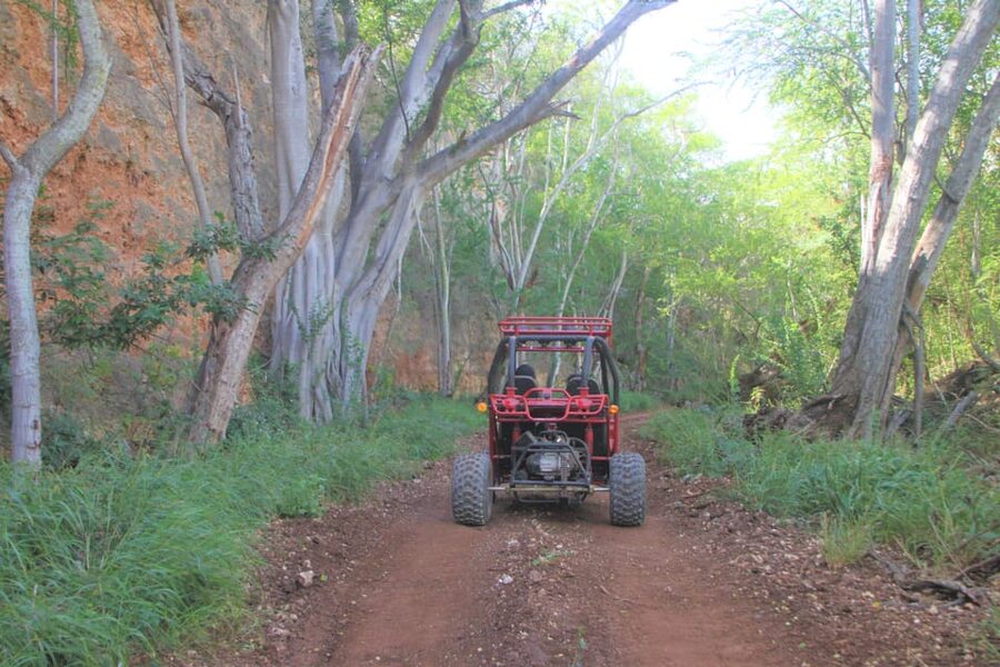Oahu: Coral Crater Zipline and Offroad ATV Adventure - Two-seater ATVs, driving rules, and what you need to ride