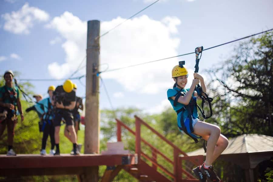 Oahu: Coral Crater Zipline Tour - Quick Takeaways Before You Clip In