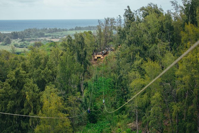 Oahu's North Shore: 8-Line Zipline Adventure - Pickup Options: How to Plan Your Morning Around Waikiki and Turtle Bay