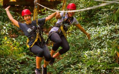 Oak Hill: Zipline Tour in New River Gorge National Park - Your 3.5-Hour High Wire Plan in Oak Hill