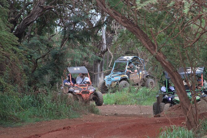 Off-Road ATV & 3 Zipline Combo (Optional Waikiki Shuttle) - Zipline 3 lines: state-of-the-art braking and nerves that calm fast