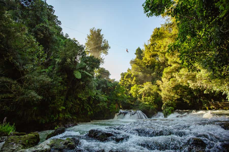 Okere Falls: Zipline over Waterfalls Experience - Flying over Ōkere Falls: what the big views deliver