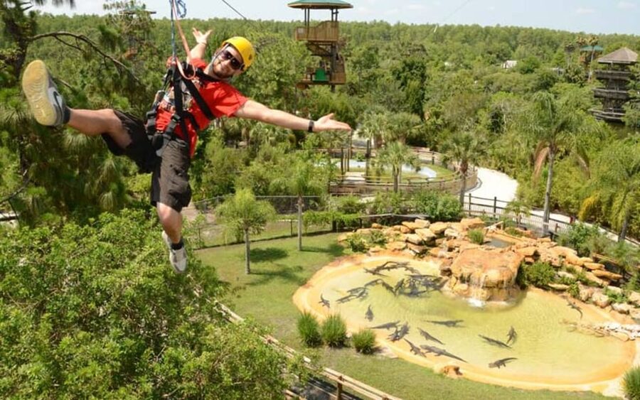 Orlando: Gatorland Zipline Adventure w/ Full-Day Park Access - Quick hits: what makes this Gatorland zipline stand out