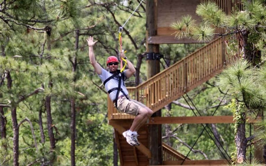 Orlando: Gatorland Zipline Adventure w/ Full-Day Park Access - From above: Cuban and Nile crocodiles plus the alligator marsh