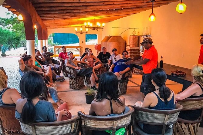 Outdoor and Zipline Adventure in Baja California - How the $130 Price Stacks Up for This Half-Day