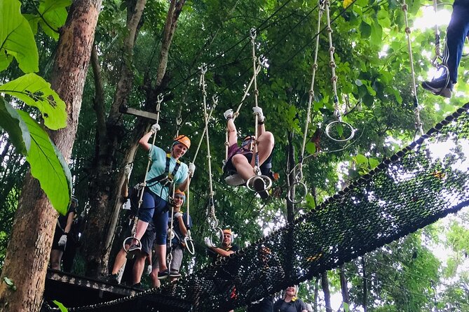 Phoenix Adventure Park Zipline, High Rope Course In Chiang Mai - Group Size and Transfers: What You Need to Know Before You Go