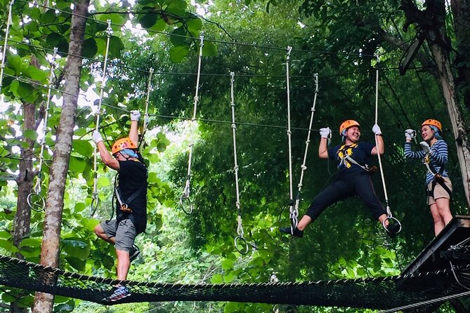 Phoenix Adventure Park Zipline, High Rope Course In Chiang Mai - Who Should Go (and Who Should Skip the Zipline)