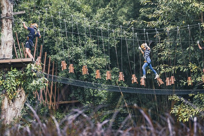 Phoenix Zipline Adventure Park – Chiang Mai Thrills - Phoenix Adventure Park in Chiang Mai: what you’re really signing up for
