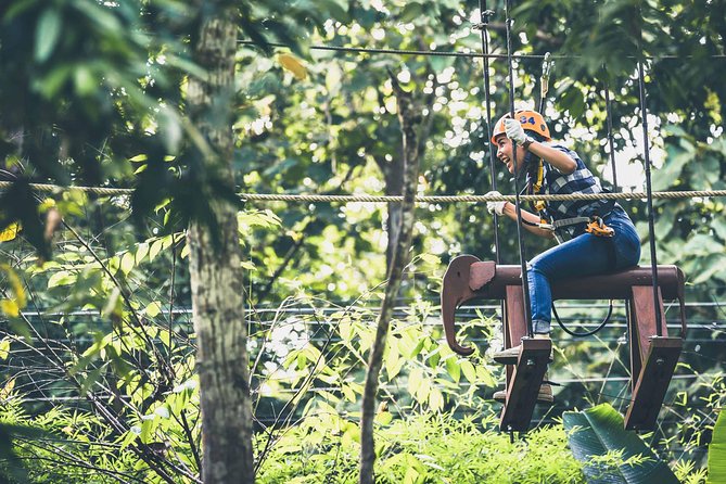 Phoenix Zipline Adventure Park – Chiang Mai Thrills - Price and value: is $37.65 fair for what you get?