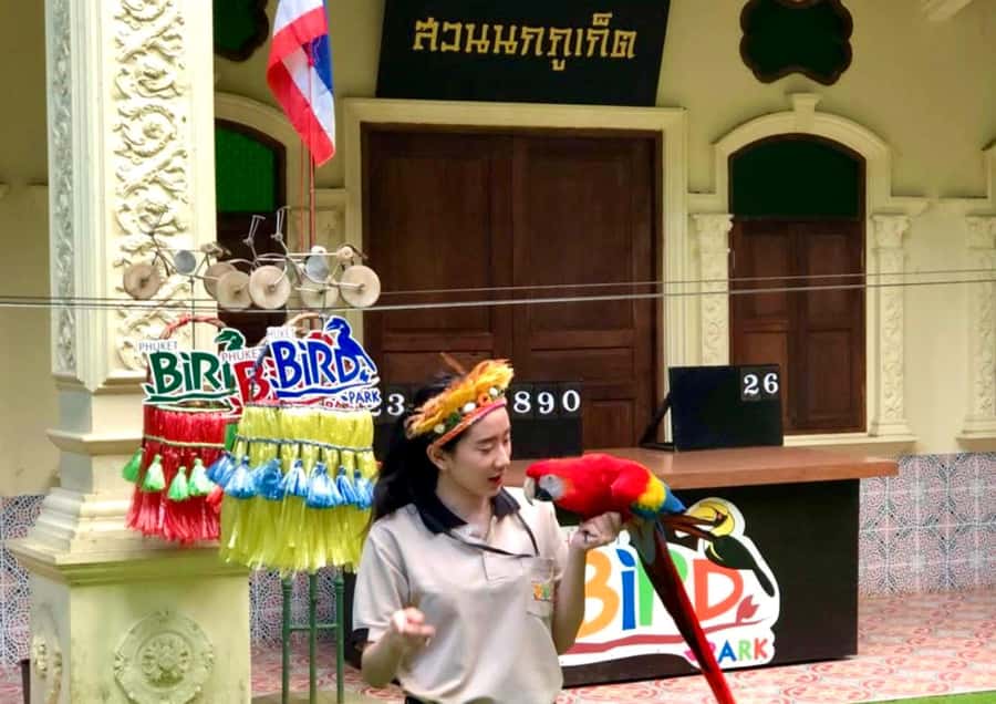 Phuket: Bird Park, Elephant Feeding, ATV Ride & City Tour - Price and Logistics: What $112 Gets You (and What Can Cost Extra)