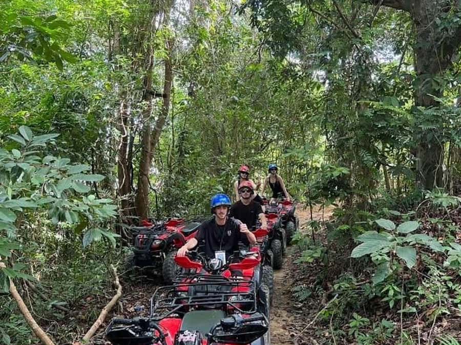 Phuket: Bird Park, Elephant Feeding, ATV Ride & City Tour - Should You Book This Phuket Bird Park, ATV, and Old Town Day?