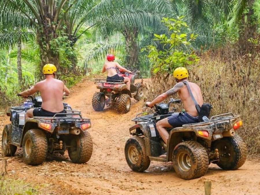Phuket: Bird Park, Elephant Feeding, ATV Ride & City Tour - ATV Ride Through Phuket Terrain: Short Session, Real Adrenaline