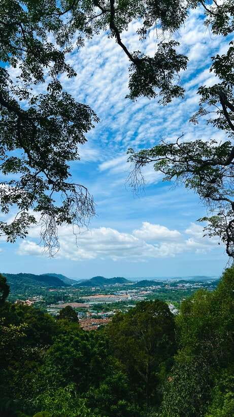 Phuket: Flying Hanuman Zipline Adventure - On the course: platforms, sky bridges, and abseiling points