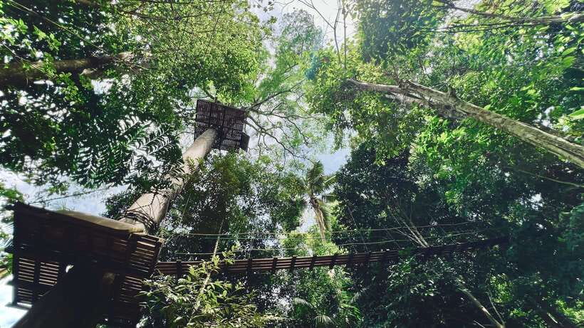 Phuket: Flying Hanuman Zipline Adventure - Price and value: is about $76 fair for this kind of canopy time?