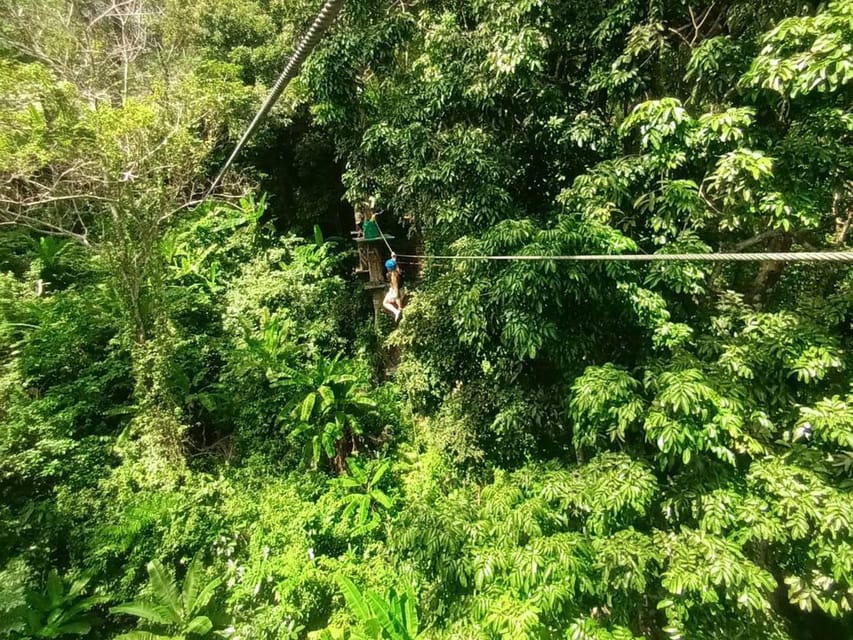 Phuket: Jungle Xtrem Adventures and Zipline Park - The Course Overhead: Platforms, Ziplines, Nets, Bridges, and Free Jump