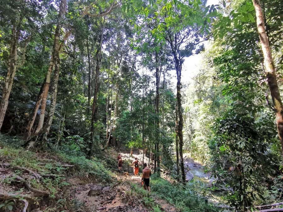 Phuket: Monkey Cave, Water Rafting, Zipline with ATV Option - Mini-Trek and Nature Time: Forest Park Between the Thrills
