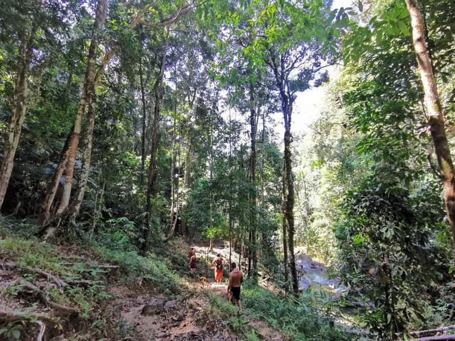 Phuket: Monkey Cave, Water Rafting, Zipline with ATV Option - Price and Value: Is $44 a Smart Deal?