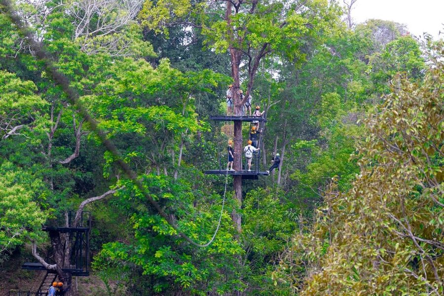 Phuket: Rainforest Eco Zipline Expedition - Phuket rainforest ziplining: fast thrills with real value
