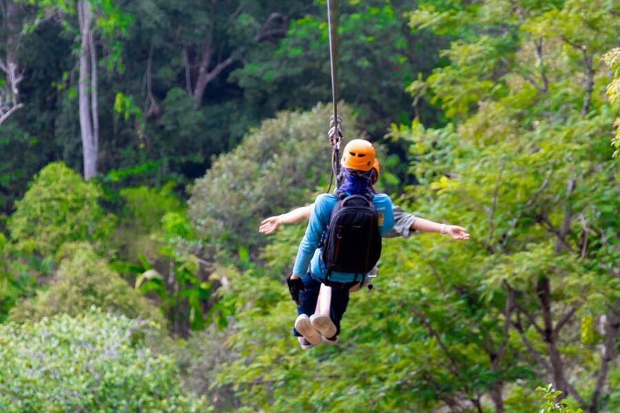 Phuket: Rainforest Eco Zipline Expedition - The zipline experience: platforms, sky bridges, and canopy flying