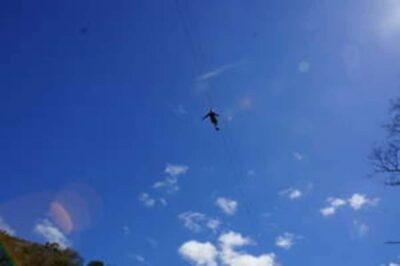 Plettenberg: 2-Hour Zipline Tour - Where You Meet Zipline-In-Plett (and Why It Matters)