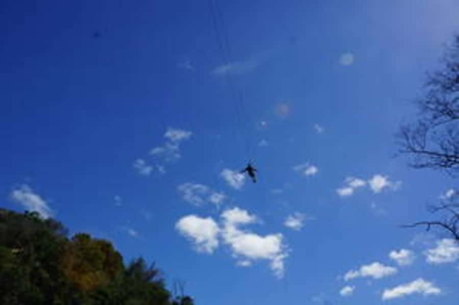 Plettenberg: 2-Hour Zipline Tour - What You’ll See From Above (and How the Guides Add Context)