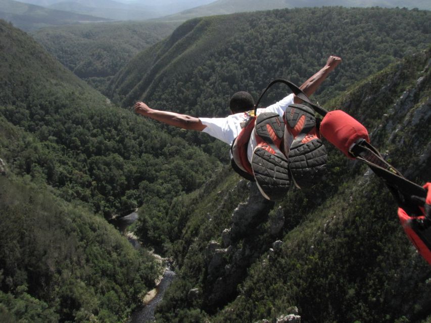 Plettenberg Bay: Bungee Jumping with Zipline and Sky Walk - Pre-jump safety talk: harnessing, checklists, and calm coaching