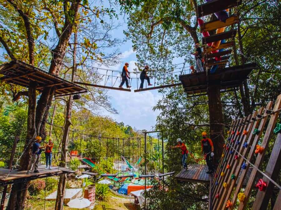Pongyang Jungle Coaster & Zipline (Transfer) - Jungle Coaster Meets Zipline: The Real Point of This Combo