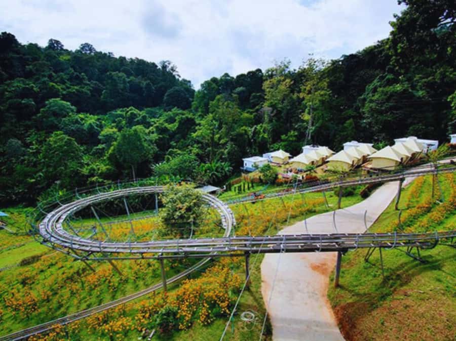 Pongyang Jungle Coaster & Zipline (Transfer) - Jungle Coaster Ride: What It Feels Like and Who Can Ride