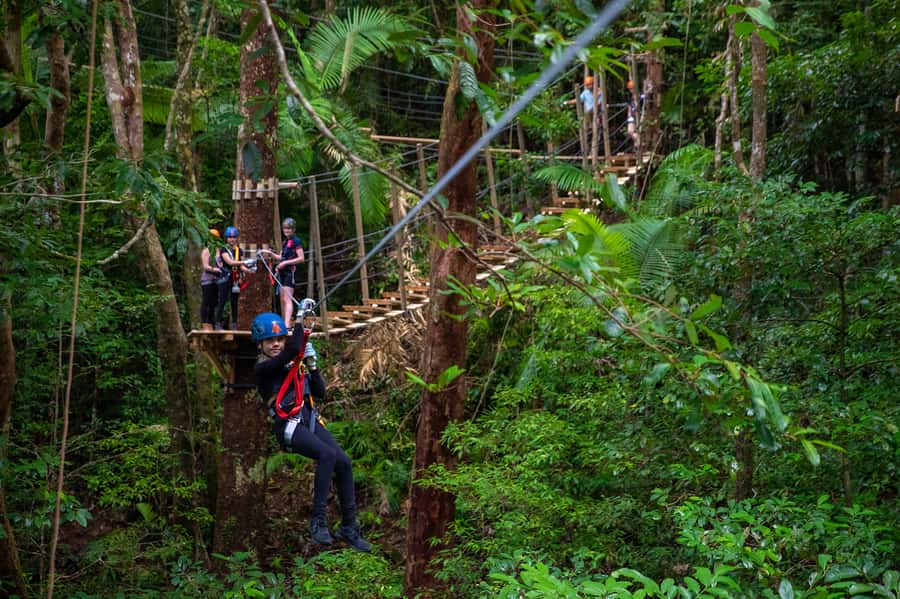 Port Douglas: Daintree National Park Tour, Cruise, & Zipline - A Fast, Well-Rounded Daintree Day Trip From Port Douglas
