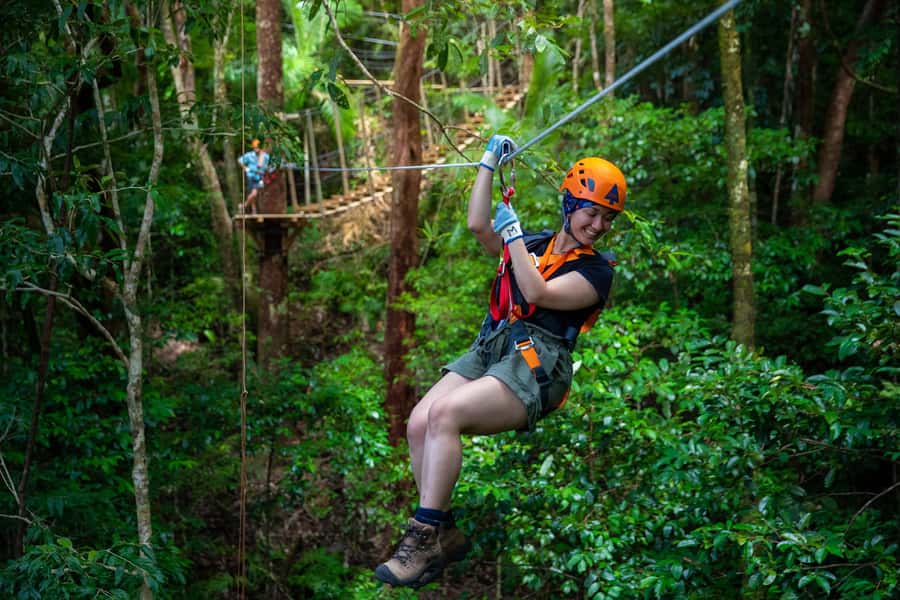Port Douglas: Daintree National Park Tour, Cruise, & Zipline - Morning Pickup, Daintree River Ferry, and Alexandra Lookout Views