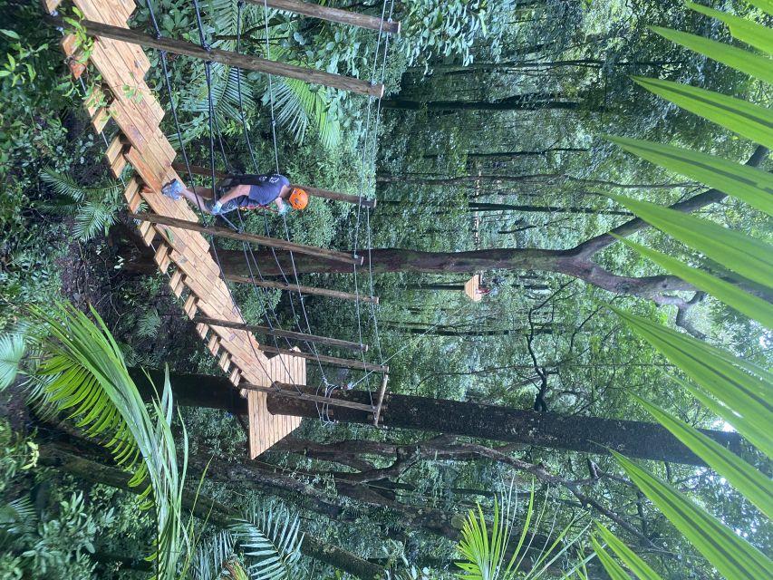 Port Douglas: Daintree National Park Tour, Cruise, & Zipline - Price and Value: What $211 Gets You in One Package