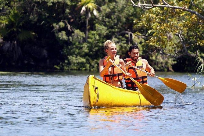 Private Coba & Jungle Adventure: Zipline, Rappel & Cenote - Stop three: Cenote Toh (Yaxmulito) Taco Fiesta with Mayan-style salsas
