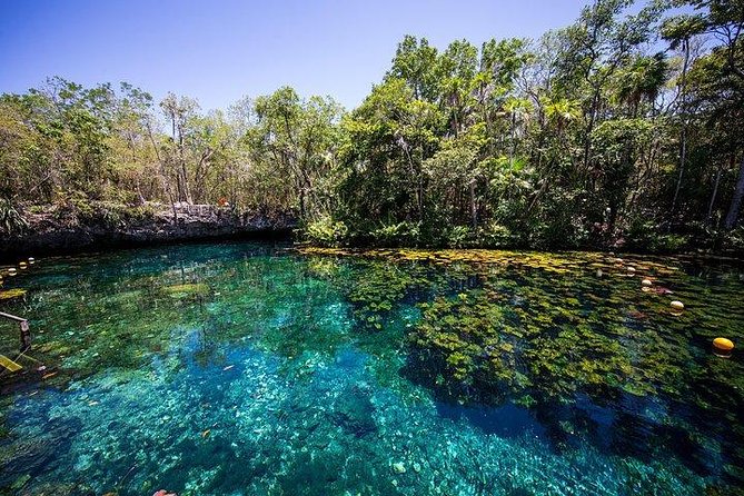 Private Coba & Jungle Adventure: Zipline, Rappel & Cenote - Private tour logistics: pickup, timing, and pacing that fits your group