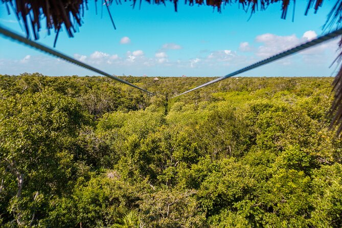 Private Jungle Adventure tour: Zipline + Rappel + Cenote - Snorkeling and swimming in underground cenote water: what you’ll see