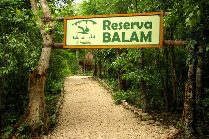 Private Jungle Adventure tour: Zipline + Rappel + Cenote - Price and value: is $295 per person worth it?