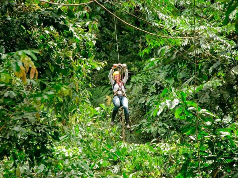 Puerto Maldonado: Jungle Adventure |Zipline + Canopy + Kayak - The hanging canopy bridge: birds above and heights to manage
