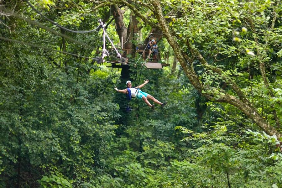 Puerto Plata/Amber Cove: Zipline and Waterfalls with Lunch - Why This Zipline-and-Waterfall Day Works So Well from Puerto Plata