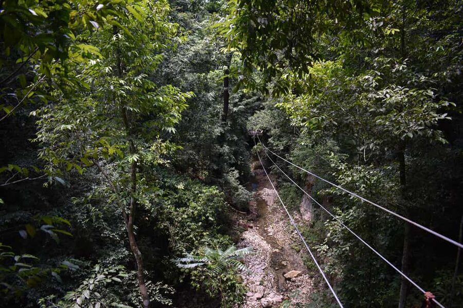 Puerto Plata/Amber Cove: Zipline and Waterfalls with Lunch - The 30-Minute Rainforest Hike to Your First Zipline