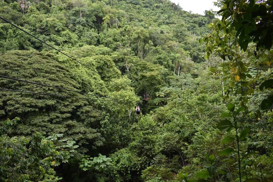 Puerto Plata/Amber Cove: Zipline and Waterfalls with Lunch - Rope Bridges to the Seventh Waterfall: The Most Adrenaline Stretch