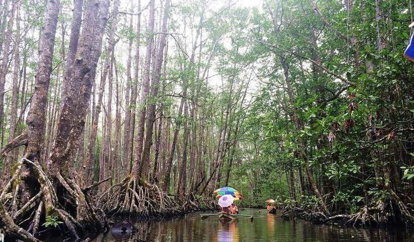 Puerto Princesa: Underground River, Zipline, Paddleboat Tour - Price and Value: Is $77 a Good Deal for 3 Activities?
