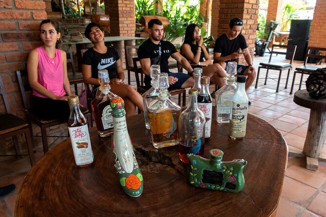 Puerto Vallarta Zipline, Mule ride and Jorullo Bridge Walking - Mule Ride at the End: A Clever Way to Finish Strong