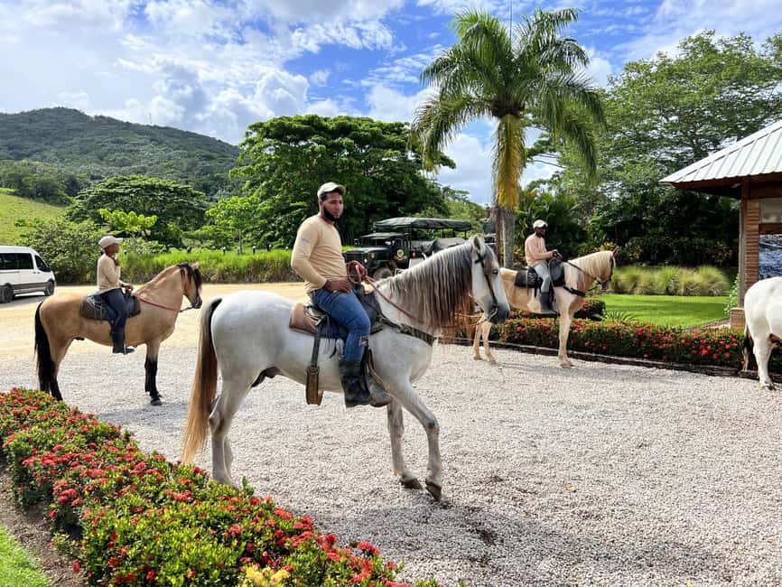 Punta Cana: Buggy and Zipline Adventure at La Hacienda - Key Highlights at La Hacienda (Punta Cana)