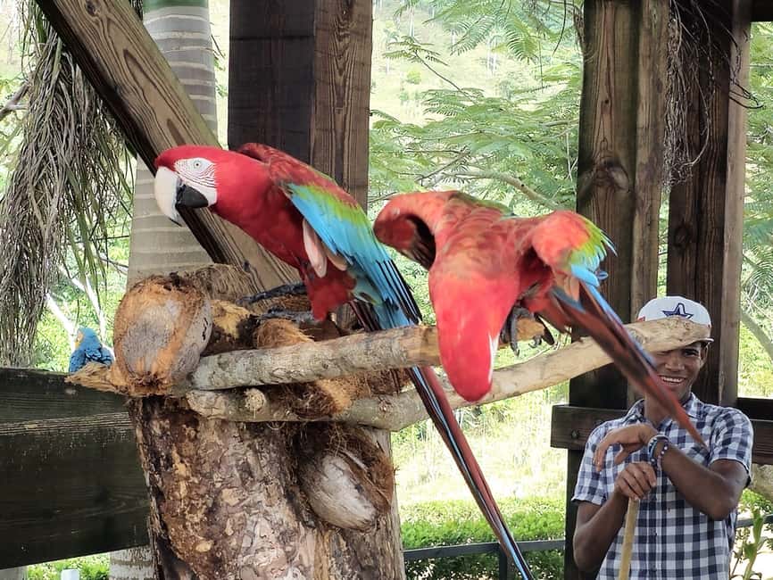 Punta Cana: Buggy and Zipline Adventure at La Hacienda - Pricing and Value: Getting More Than One Adventure