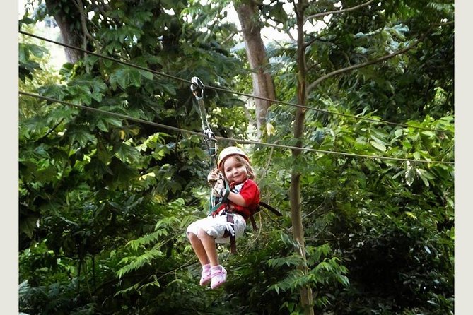 Punta cana: Half-Day Zipline Tour - The logistics that affect your day: mobile ticket and group flow