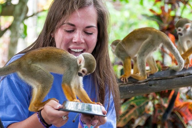 Punta Cana Monkeyland and Zipline Two Adventures in One Day - Zip Line Course: 12 Cables, Real Thrill, Real Climbing