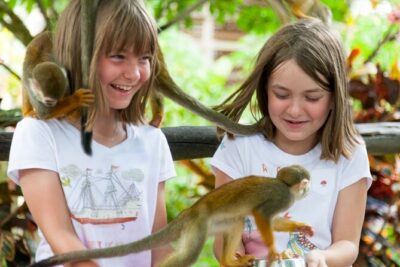 Punta Cana Monkeyland and Zipline Two Adventures in One Day - Price and Value: Is $115 Actually a Good Deal?