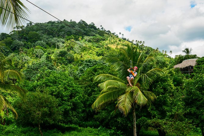 Punta Cana Monkeyland and Zipline Two Adventures in One Day - Monkeyland: Close-Up Squirrel Monkey Feeding (and the Rules That Keep It Safe)