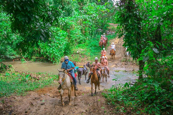 Punta Cana Zipline Adventure with Buggies and Horseback Riding - Horseback riding + cocoa and mamajuana: short ride, big learning moments